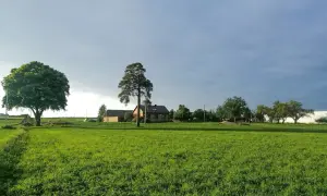 Zielona łąka z domami w tle. Zastanawiasz się, ile kosztuje przekształcenie działki rolnej na budowlaną?