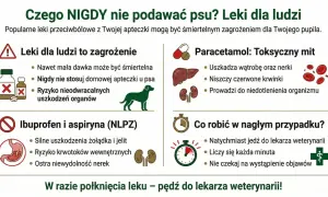 Leki przeciwbólowe dla psa mogą być śmiertelne. Nigdy nie podawaj psu leków dla ludzi, nawet w małych dawkach. W razie połknięcia leku, natychmiast udaj się do weterynarza.