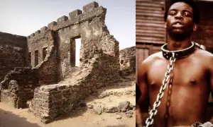 Co to jest dziedzictwo historyczne i dlaczego jest tak ważne?