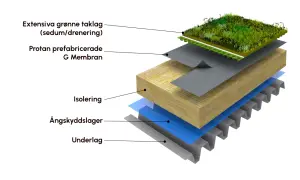 Explosion av en sedumtak konstruktion med lager av vegetation, membran, isolering och underlag.