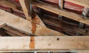Vue rapprochée des poutres en bois d'un grenier, montrant des traces d'humidité et de décoloration, signe d'une fuite nécessitant une réparation toiture.