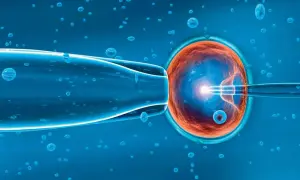 Inseminacja komórki jajowej metodą in vitro. Czy in vitro to grzech? Pytanie o etykę i moralność tej metody wspomaganego rozrodu.