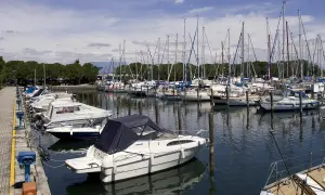 Barche a vela e a motore ormeggiate nella marina di Porto San Giorgio, con alberi che si stagliano contro il cielo azzurro.