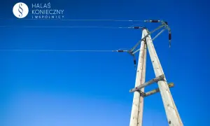 Drewniany słup energetyczny na tle błękitnego nieba. Zastanawiasz się, ile za słup energetyczny na działce?