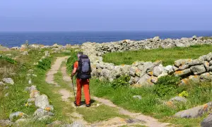 Pielgrzym z plecakiem idzie ścieżką wzdłuż kamiennego murku. Piękna trasa Santiago de Compostela nad oceanem.