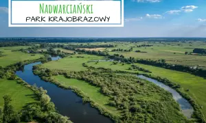 Malowniczy krajobraz nadwarciański park krajobrazowy z krętą rzeką, zielonymi łąkami i lasami w tle.
