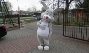 Strój zająca z dużymi uszami i białym brzuchem stoi na chodniku z kostki brukowej.