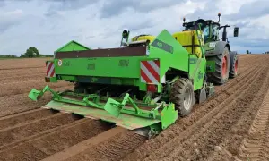 Zielona sadzarka ziemniaków pracuje na polu, tworząc rzędy. To nowoczesne sadzenie ziemniaków.