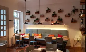 Przytulne wnętrze restauracji Nova Sopot z wygodnymi kanapami, drewnianymi skrzynkami z roślinami na ścianie i stylowymi lampami.