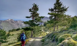 Senderista camina por un sendero de montaña, disfrutando de las vistas de las cumbres nevadas y la vegetación. Un día perfecto para las rutas de senderismo en Capileira.