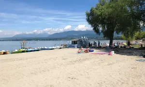 Sonniger Strand am Genfer See mit vielen Menschen, Tretbooten und einem Baum.