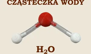 Model cząsteczki wody H₂O. Czerwona kula symbolizuje atom tlenu, a dwie białe atomy wodoru połączone są z nią pod kątem.