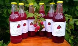 Gdzie kupić naturalny sok malinowy? Sprawdź najlepsze oferty