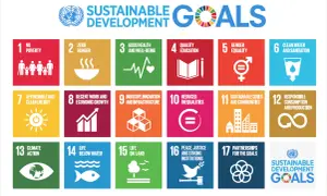 Agenda 2030 cele zrównoważonego rozwoju - jak je osiągnąć i dlaczego to ważne