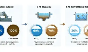 Ilustracja przedstawia etapy oczyszczania ścieków: surowe, po osadniku i po oczyszczaniu biologicznym, z wizualizacją redukcji zanieczyszczeń.