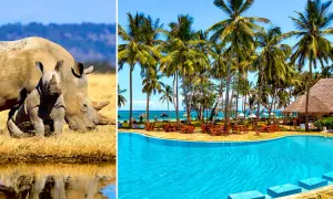 Dwa nosorożce na sawannie i tropikalny ośrodek z basenem na plaży Diani.