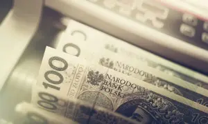 Ile zarabia radny osiedla? Dieta, zasady i realia poznaj prawdę