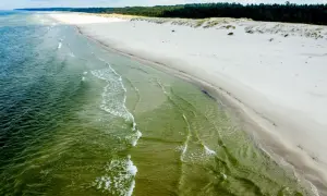Szeroka, piaszczysta plaża Słajszewo z zielonkawą wodą i lasem w tle.