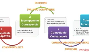 Diagramma dei 4 stadi dei processi di apprendimento: dall'incompetenza inconsapevole alla competenza inconsapevole, passando per la consapevolezza.