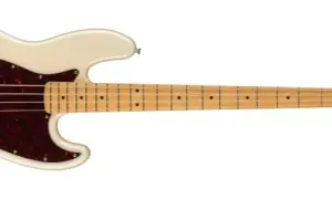 Bas czy elektryk? Wybierz idealną gitarę na start!