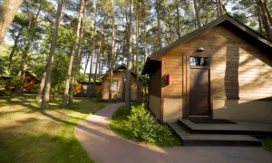 Drewniane domki kempingowe nad morzem, ukryte wśród sosen. Ścieżka prowadzi do przytulnych kwater.