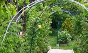 Pergola z drutu DIY: Jak zbudować krok po kroku?