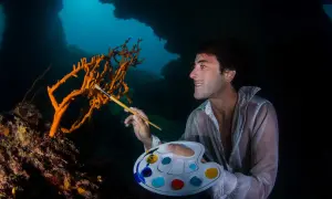 Un artista subacqueo crea foto creative, dipingendo un corallo arancione con una tavolozza colorata.