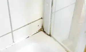 Silikon czernieje? Poznaj przyczyny i usuń pleśń raz na zawsze!