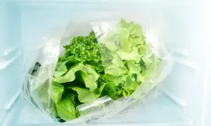 Lechugas frescas en una bolsa plástica dentro de la nevera, un truco para saber como conservar la lechuga en la nevera y que dure más tiempo.