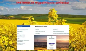 Jak złożyć wniosek o dopłaty bezpośrednie i uniknąć kar za spóźnienie