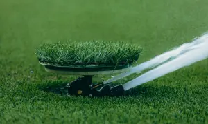 Automatyczne podlewanie trawnika na boisku sportowym. Zraszacze równomiernie rozprowadzają wodę po zielonej murawie.