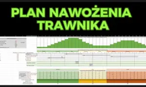Kiedy nawozić trawnik? Kalendarz nawożenia krok po kroku