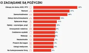 Kto bierze chwilówki? Zaskakujące fakty o pożyczkobiorcach