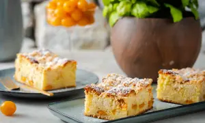 Saftiger Mirabellenkuchen mit Streuseln und Puderzucker bestäubt, serviert auf blaugrauen Tellern. Ein Genuss für jeden Kaffeetisch.