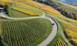 Herbstliche Weinberge in Deutschland, eine kurvige Straße schlängelt sich durch die bunten Reben. Perfekt für eine Weinwanderung.