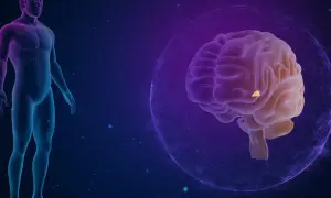 Anatomical illustration showing a human silhouette and a brain. A highlighted area within the brain indicates a torbiel szyszynki.