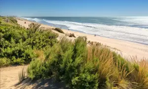 Rajskie plaże Argentyny: Przewodnik po najpiękniejszych zakątkach