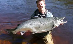 Ein Mann steht im Wasser und hält stolz einen riesigen Lachs, ein Erfolg beim Lachs angeln.