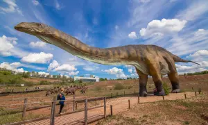 Gigantyczny diplodok w największym muzeum dinozaurów w Polsce. Zwiedzający spacerują po drewnianych kładkach, podziwiając prehistoryczne zwierzęta.
