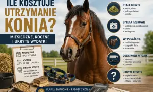Ile kosztuje utrzymanie konia? Grafika przedstawia konia, koszty miesięczne, roczne i ukryte wydatki, w tym paszę, opiekę weterynaryjną i wyposażenie.