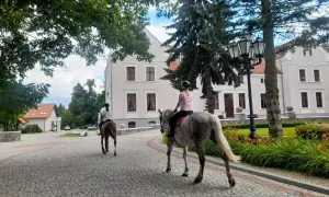 Najlepsze stadniny koni w Jaworznie - usługi, opinie i lokalizacja