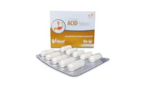 Acid Balance dla psa: zakwaszanie moczu, kamica i infekcje