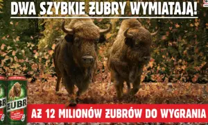 Do kiedy trwa promocja żubra? Nie przegap ostatniej szansy!