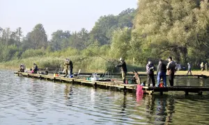 Wędkarze na pomoście nad jeziorem Węgorzyno. Słońce odbija się w wodzie, a drzewa tworzą zielone tło.