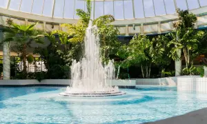 Ein tropischer Poolbereich mit einem sprudelnden Brunnen und Palmen unter einem Glasdach. Perfekt für einen entspannten Urlaub in Hessen.