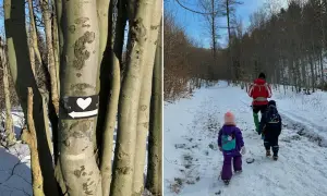 Rodzina podąża leśkowiec szlak białych serc. Śnieżna ścieżka prowadzi przez zimowy las.