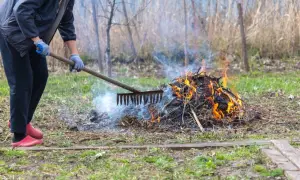 Osoba w rękawiczkach grabi ognisko na posesji, z którego unosi się dym i płomienie.