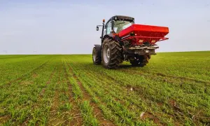 Czerwony traktor rozsypuje nawóz na zielonym polu młodego zboża.