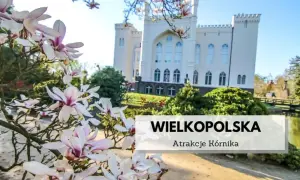 Gdzie zjeść w San Gimignano? Najlepsze lokale, które musisz poznać