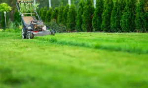Kosiarka z funkcją mulczowania trawy pracuje na zielonym trawniku, tworząc naturalny nawóz.